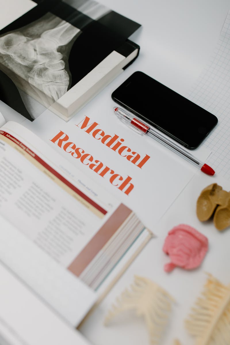 Flat lay of medical research materials with books and anatomical models.